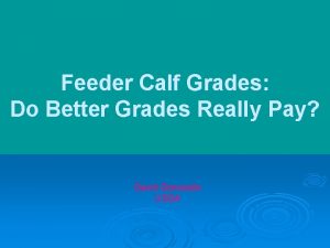 Feeder Calf Grades Do Better Grades Really Pay