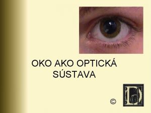 Opticka sustava oka