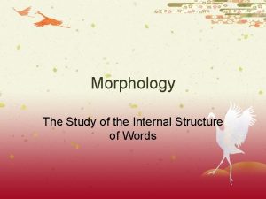 Morphology The Study of the Internal Structure of