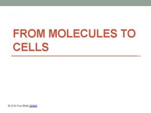 FROM MOLECULES TO CELLS 2016 Paul Billiet ODWS