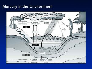 Mercury in the Environment What is Mercury Hg