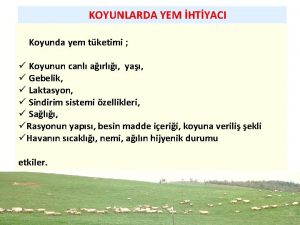 KOYUNLARDA YEM HTYACI Koyunda yem tketimi Koyunun canl