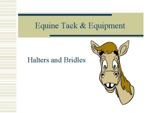 Equine Tack Equipment Halters and Bridles COURSE Equine