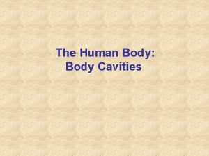 The Human Body Body Cavities Regional Terms Anterior