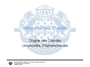 Introduction aux Chords Origine des Chords Urochords Cphalochords