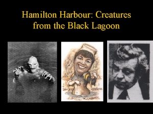 Hamilton Harbour Creatures from the Black Lagoon Hamilton