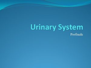 Urinary System Prefinals Urinary System Is the production