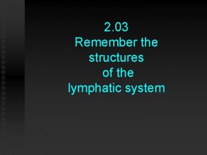 2 03 Remember the structures of the lymphatic