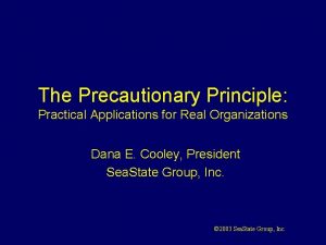 The Precautionary Principle Practical Applications for Real Organizations