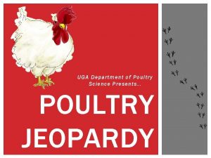 UGA Department of Poultry Science Presents POULTRY JEOPARDY