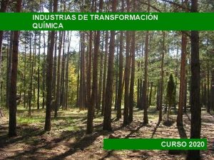 INDUSTRIAS DE TRANSFORMACIN QUMICA CURSO 2020 INDUSTRIAS DE