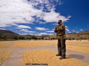 2007 Matthew Kadey Our Coffees Today Matagalpa San