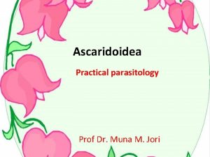 Ascaridoidea Practical parasitology Prof Dr Muna M Jori