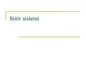 Sinir sistemi GR n n SNR SSTEM vcudun