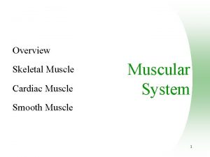 Overview Skeletal Muscle Cardiac Muscle Muscular System Smooth