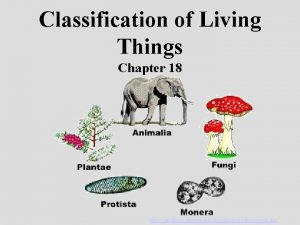 Classification of Living Things Chapter 18 http analyzer