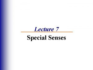 Lecture 7 Special Senses The Senses General senses