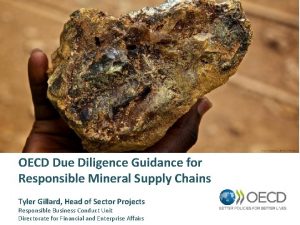 OECD Due Diligence Guidance for Responsible Mineral Supply