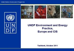 UNDP Environment and Energy Practice Europe and CIS