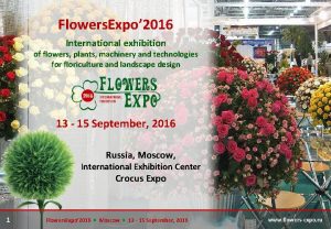 Flowers Expo 2016 International exhibition of flowers plants