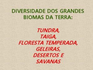 DIVERSIDADE DOS GRANDES BIOMAS DA TERRA TUNDRA TAIGA