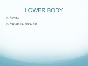 LOWER BODY Review Foot ankle knee hip Palpations