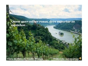 Quem quer colher rosas deve suportar os espinhos Quem quer colher rosas deve suportar os espinhos