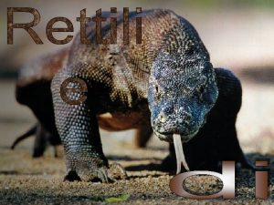 I rettili Reptilia dal latino reptilis strisciante rappresentarono