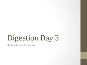 Digestion Day 3 GallbladderSmall Intestines Composition of Bile