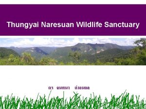 Thungyai Naresuan Wildlife Sanctuary Thungyai Naresuan Wildlife Sanctuary