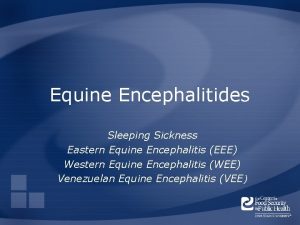 Equine Encephalitides Sleeping Sickness Eastern Equine Encephalitis EEE