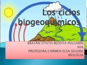 Ciclos biogeoquimicos