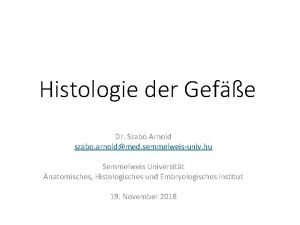 Histologie der Gefe Dr Szab Arnold szabo arnoldmed