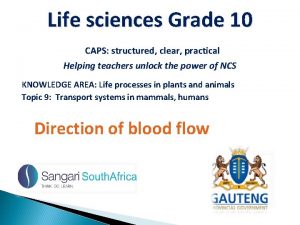 Life sciences Grade 10 CAPS structured clear practical