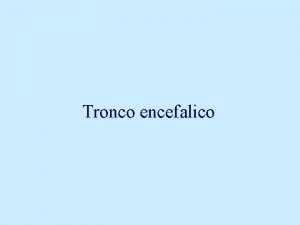 Fossa romboidale Fossa romboidale