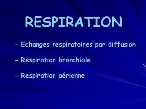 RESPIRATION Echanges respiratoires par diffusion Respiration branchiale Respiration