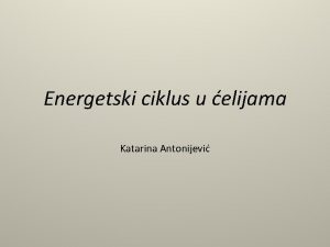 Energetski ciklus u elijama Katarina Antonijevi U procesima