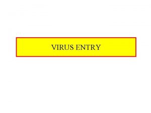 VIRUS ENTRY Virus Entry Entry Into Host Cell