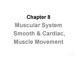 Chapter 8 Muscular System Smooth Cardiac Muscle Movement