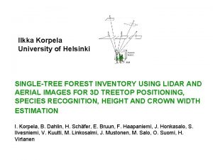 Ilkka Korpela University of Helsinki SINGLETREE FOREST INVENTORY