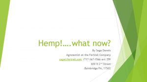 Hemp what now By Sage Dennis Agronomist at