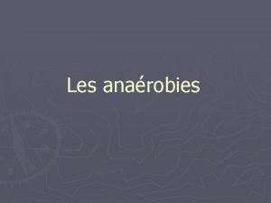 Les anarobies Aspect microscopique Bacilles Gram prsentant une