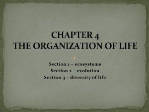 Chapter 4 the organization of life section 1