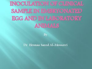 INOCULATION OF CLINICAL SAMPLE IN EMBRYONATED EGG AND