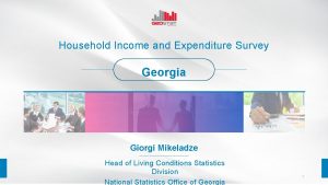 Household Income and Expenditure Survey Georgia Giorgi Mikeladze