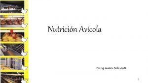 Nutricin Avcola Por Ing Gustavo Ardn MAE 7