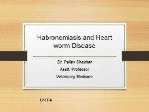 Habronemiasis and Heart worm Disease Dr Pallav Shekhar