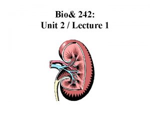 Bio 242 Unit 2 Lecture 1 Major Functions