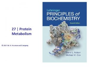 27 Protein Metabolism 2017 W H Freeman and