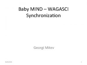 Baby MIND WAGASCI Synchronization Georgi Mitev 05062021 1